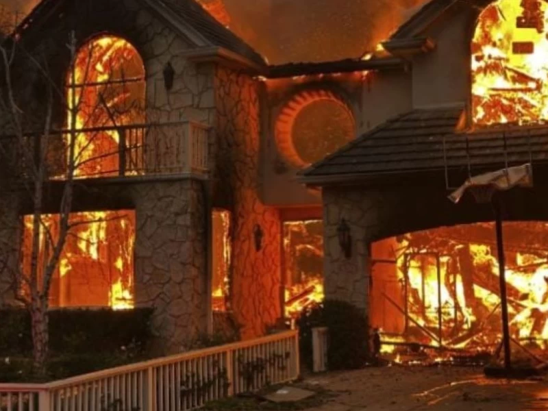 Hollywood Hills Dilalap Api, 1.000 Bangunan Terbakar dan 5 Orang Tewas
