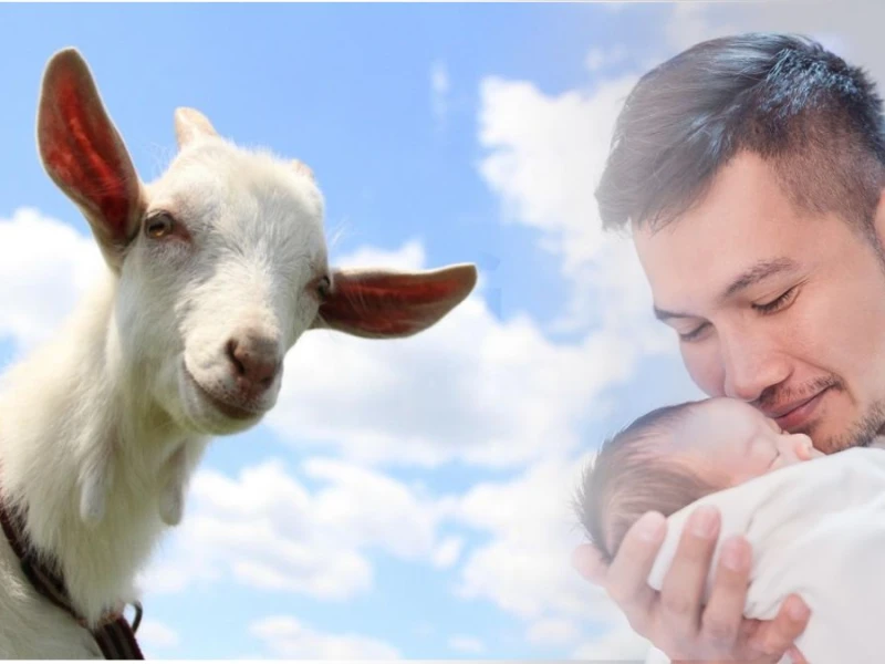 4 Hikmah Disyariatkannya Akikah bagi Anak dalam Islam