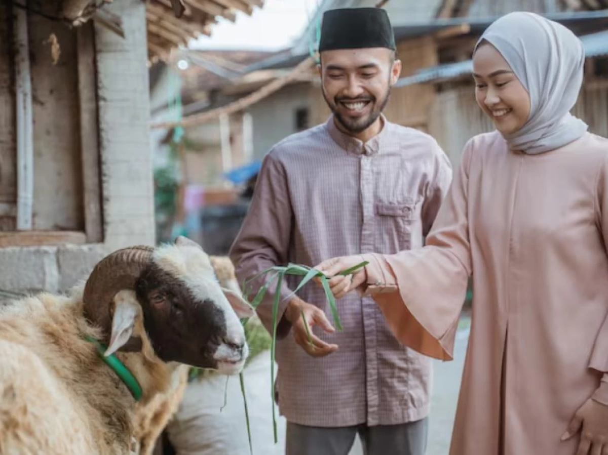 Inilah 5 Hikmah Disyariatkannya Ibadah Kurban