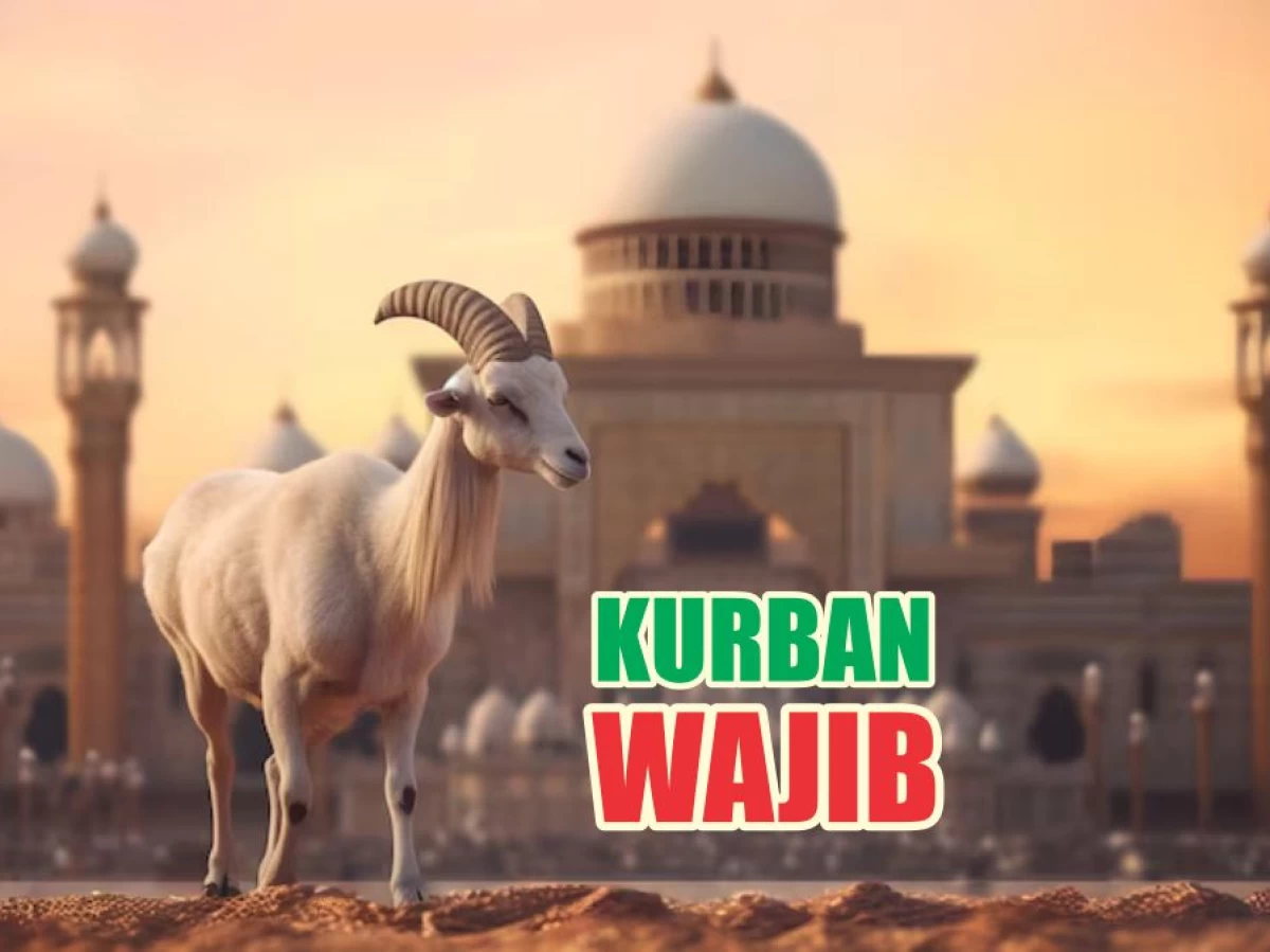 Ucapan 'Ini Kurbanku', Apakah Menjadikannya Kurban Wajib?