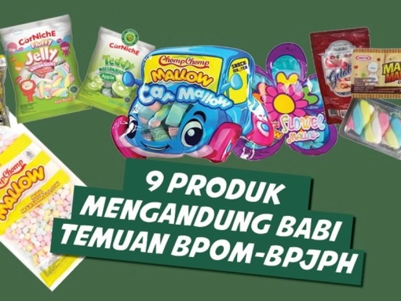 Terlanjur Konsumsi Makanan Mengandung Babi? Ini Seharusnya Sikap Kita