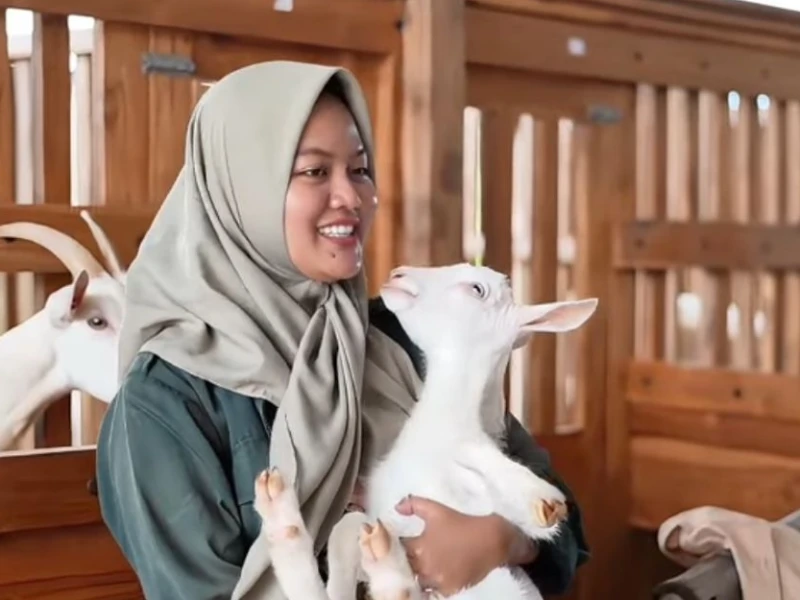 Mila Arlinda Alumnus UGM, Buktikan Peternakan Bisa Jadi Jalan Sukses