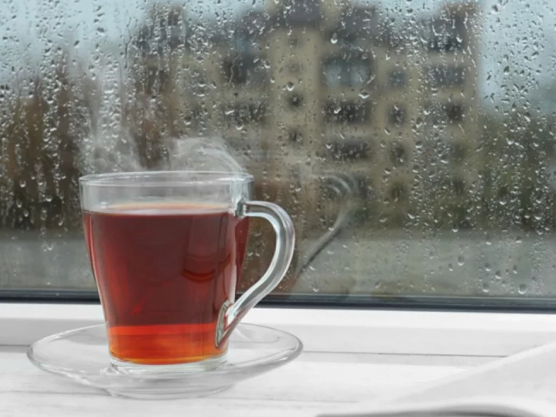 Rekomendasi Minuman Sehat Saat Musim Hujan