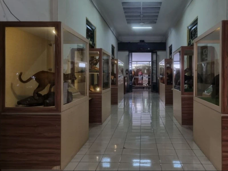 Museum Biologi UGM: Hewan dan Kerangka Kemiskinan