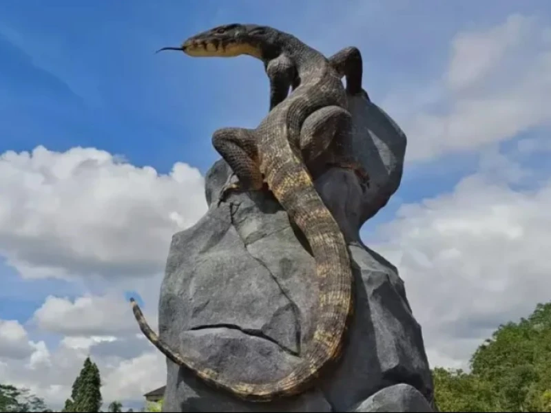 Viral Patung Biawak, Bagaimana Pandangan Hukum Fiqih?