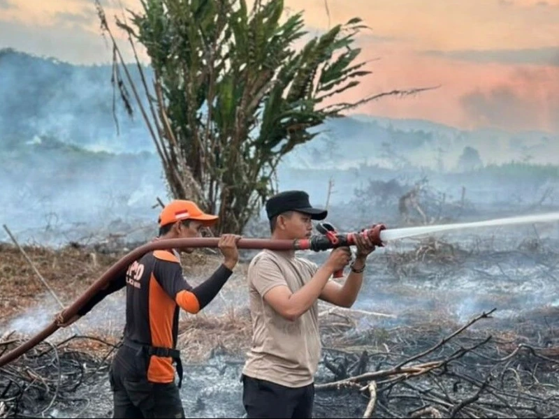 Pakar UGM Tekankan Pencegahan Karhutla Harus Dimulai sebelum Musim Kemarau