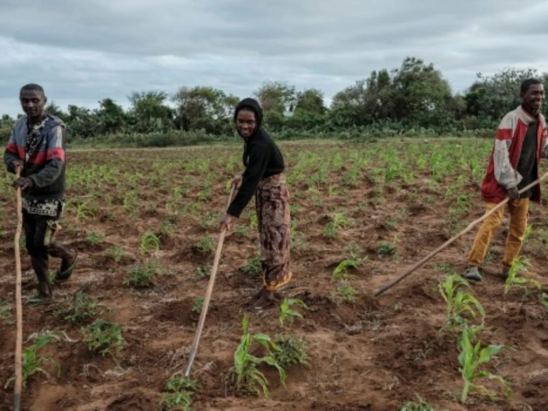 El Nino Perparah Kelaparan di Madagaskar, Jutaan Warga Terancam Krisis Pangan