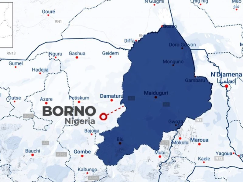 Pasukan Nigeria Tewaskan Kamerawan ISWAP di Borno, Rekaman Aktivitas Teroris Berhasil Disita