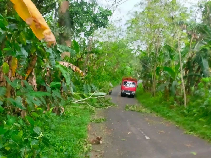 Hujan Lebat hingga Sangat Lebat Diprediksi Terjadi pada 26-27 Januari 2026
