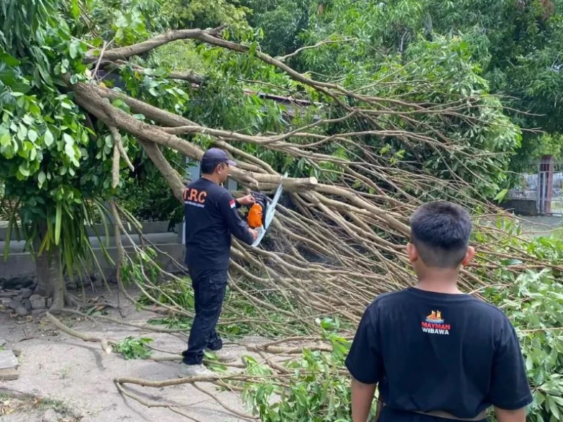 Bulukumba hingga Pangandaran Diterjang Cuaca Ekstrem, BNPB Imbau Masyarakat Waspada