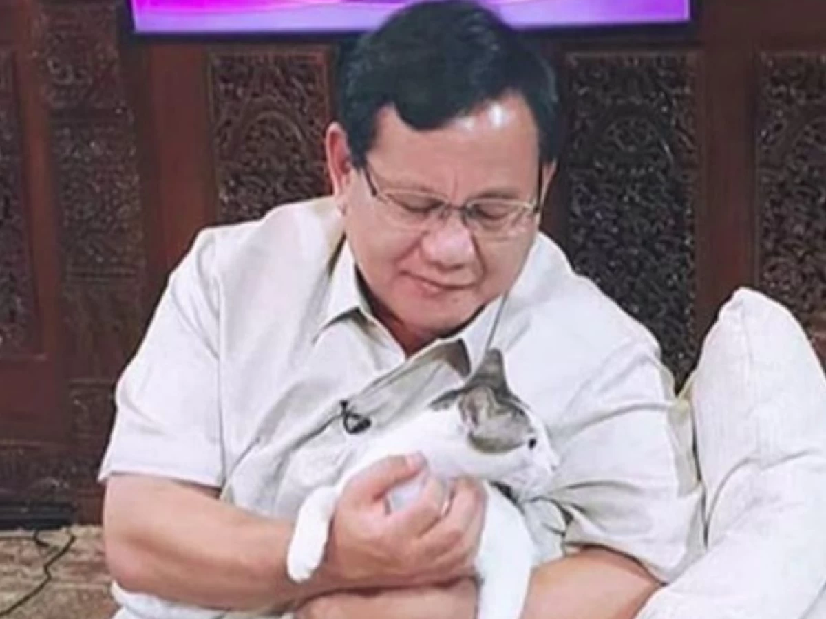 Kucing dan Kekuasaan
