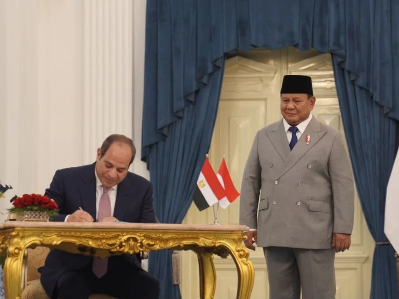 Mesir Tawarkan Beasiswa Kedokteran dan Teknik untuk Mahasiswa Indonesia