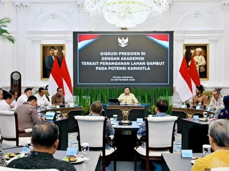 Presiden Prabowo Bentuk Badan Pengelola Gambut dan Mangrove Nasional