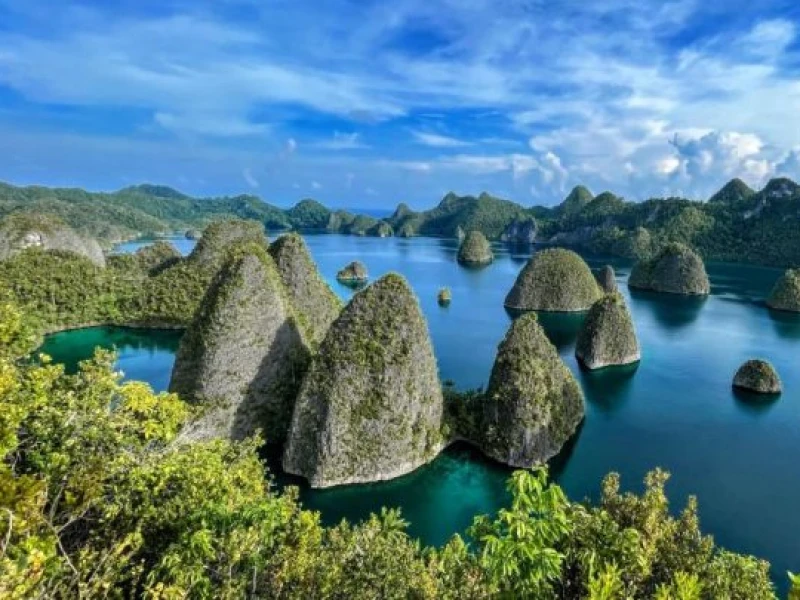 Raja Ampat & Kisah Keteladanan Umar bin Khattab dalam Melindungi Alam