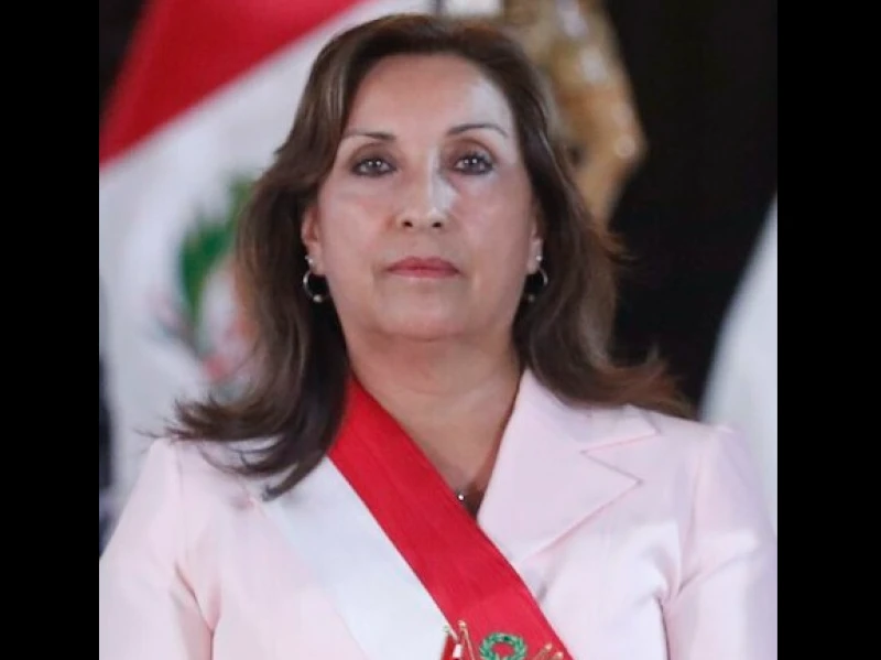 Dina Boluarte, Presiden Peru yang Pernah ke Indonesia Dimakzulkan Parlemen