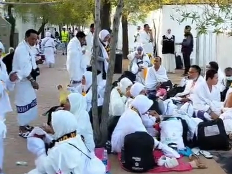Menerka Kekacauan Layanan Jemaah Haji saat Wukuf di Arafah, Apakah Benar Adanya?