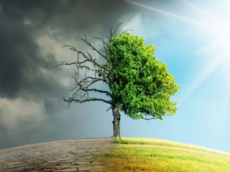 Mendesak RUU Keadilan Iklim Lewat Climate Justice Summit 2025