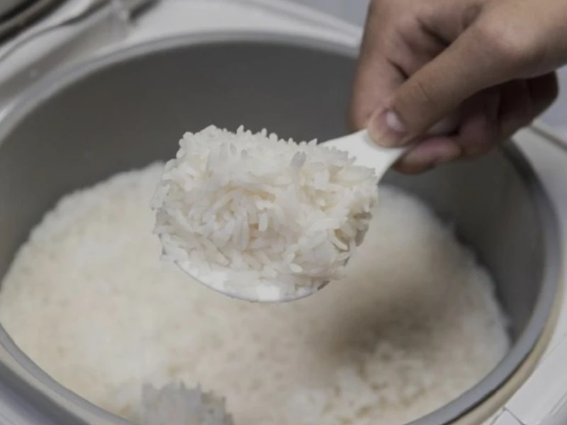 Inilah Pentingnya Kenapa Nasi Setelah Matang Harus Dipindah dari Rice Cooker