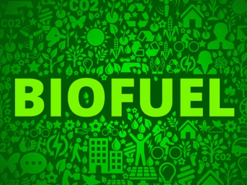 Organisasi Lingkungan Desak IMO Tak Jadikan Biofuel Pengganti Fosil dalam Skema Net-Zero
