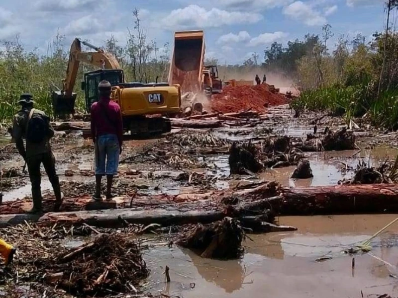 Kelompok Masyarakat Sipil Desak Pemerintah Hentikan Perampasan Hutan Adat