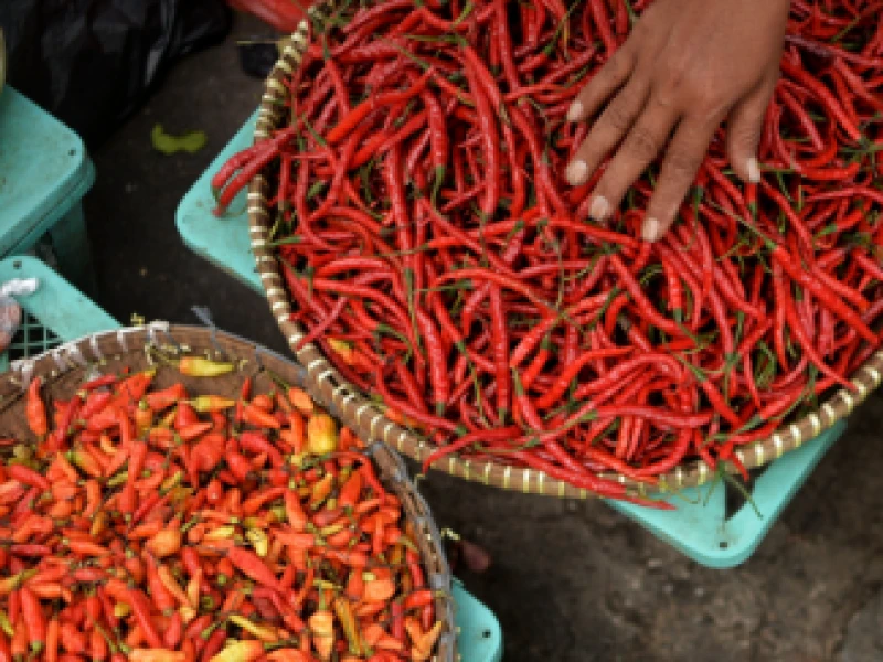 Harga Cabai Tembus Rp100 ribu per Kilogram, Kenaikan Dipicu Cuaca