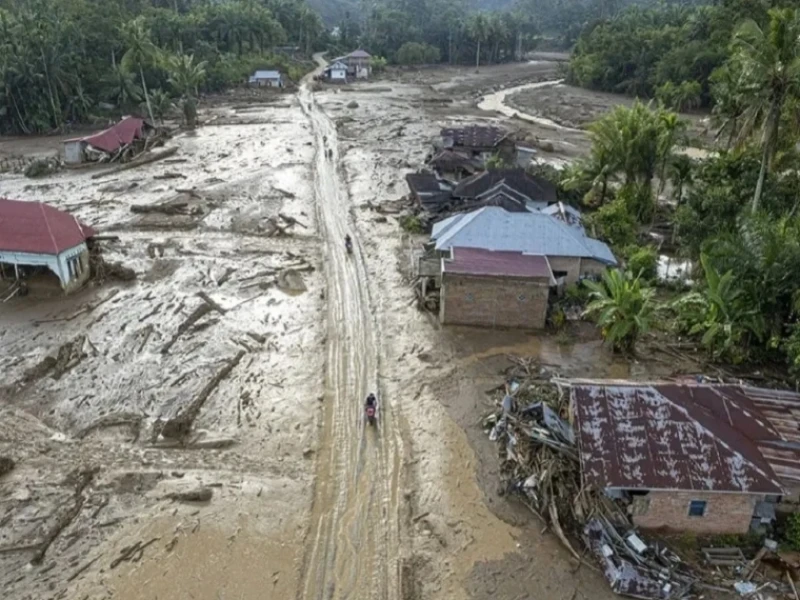 Daftar Perusahaan Pengelola Hutan yang Izinnya Bermasalah, 6 di Antaranya Diduga Penyebab Banjir Sumatra