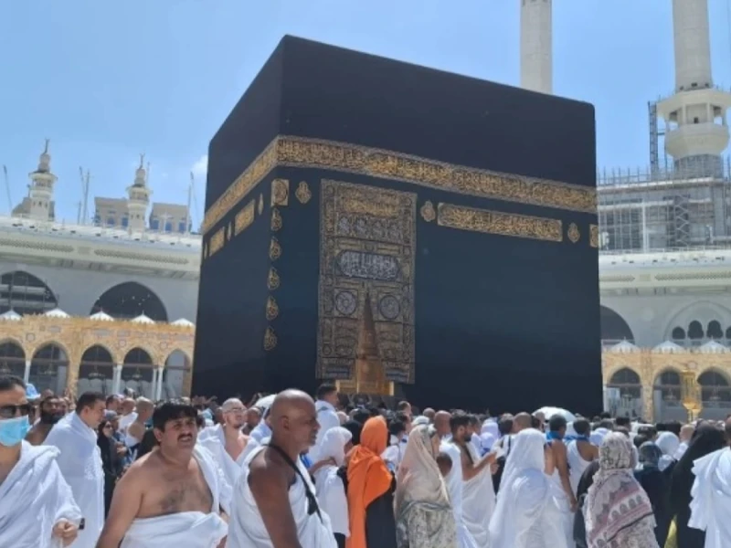 Arab Saudi Buka Pendaftaran Penghargaan Penelitian Inovasi Layanan Haji, Hadiahnya Capai Rp7,4 Miliar