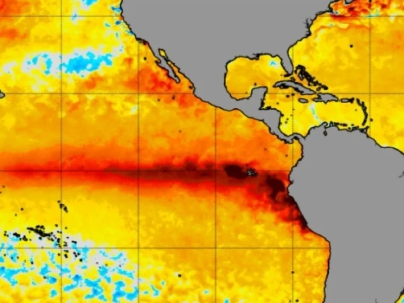 EL Nino Bakal Memburuk di Desember, PBB Bersiap Antisipasi Paceklik Pangan Global