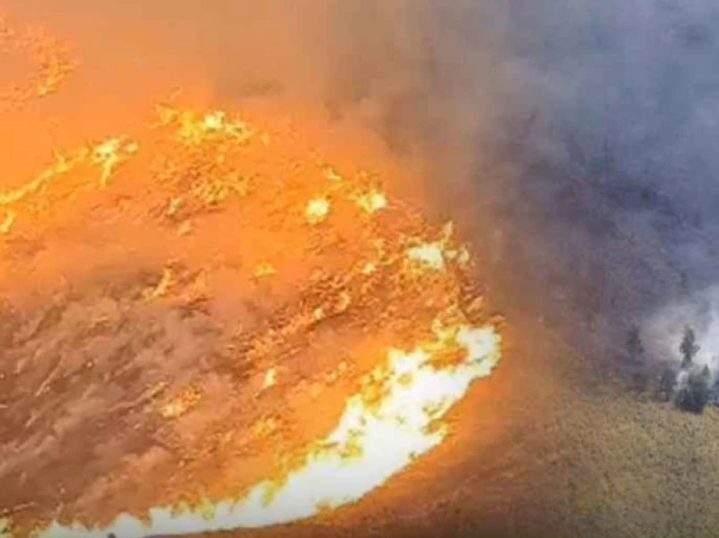 Setelah Kebakaran Hutan Kemarin, Besok Wisata Bromo Dibuka Lagi