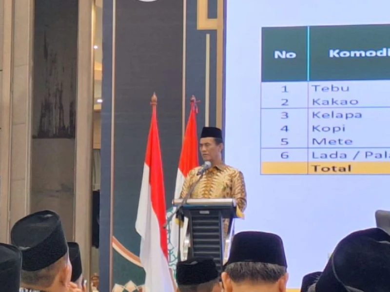 Optimisme Swasembada, Indonesia Bantu Rakyat Palestina 10 Ribu Ton Beras