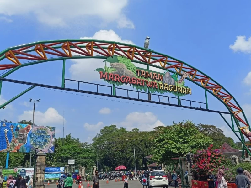 Wisata Akhir Tahun 2024 ke Taman Margasatwa Ragunan, Ini Harga Tiketnya