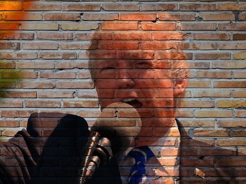 Deepfake di Antara Hiburan dan Eksploitasi