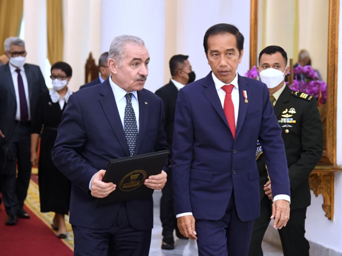 Potensi Indonesia sebagai 'Middle Power' dalam Menyelesaikan Konflik Palestina-Israel